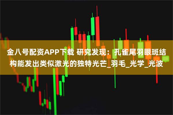 金八号配资APP下载 研究发现:孔雀尾羽眼斑结构能发出类似激光的独特光芒_羽毛_光学_光波