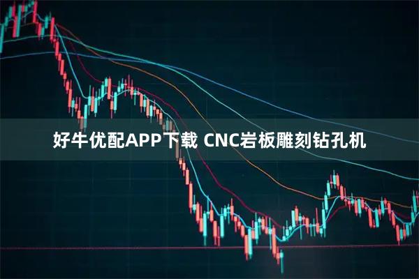 好牛优配APP下载 CNC岩板雕刻钻孔机